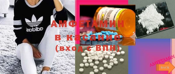 амф Алексин